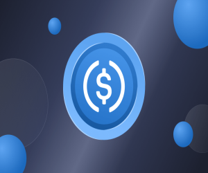 USDC (Eth Network)